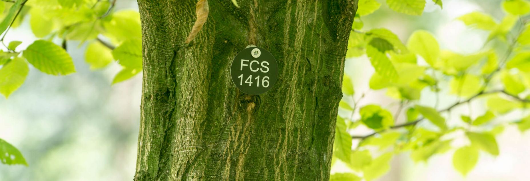 FriedWald Clam Onlineshop FCS 1416