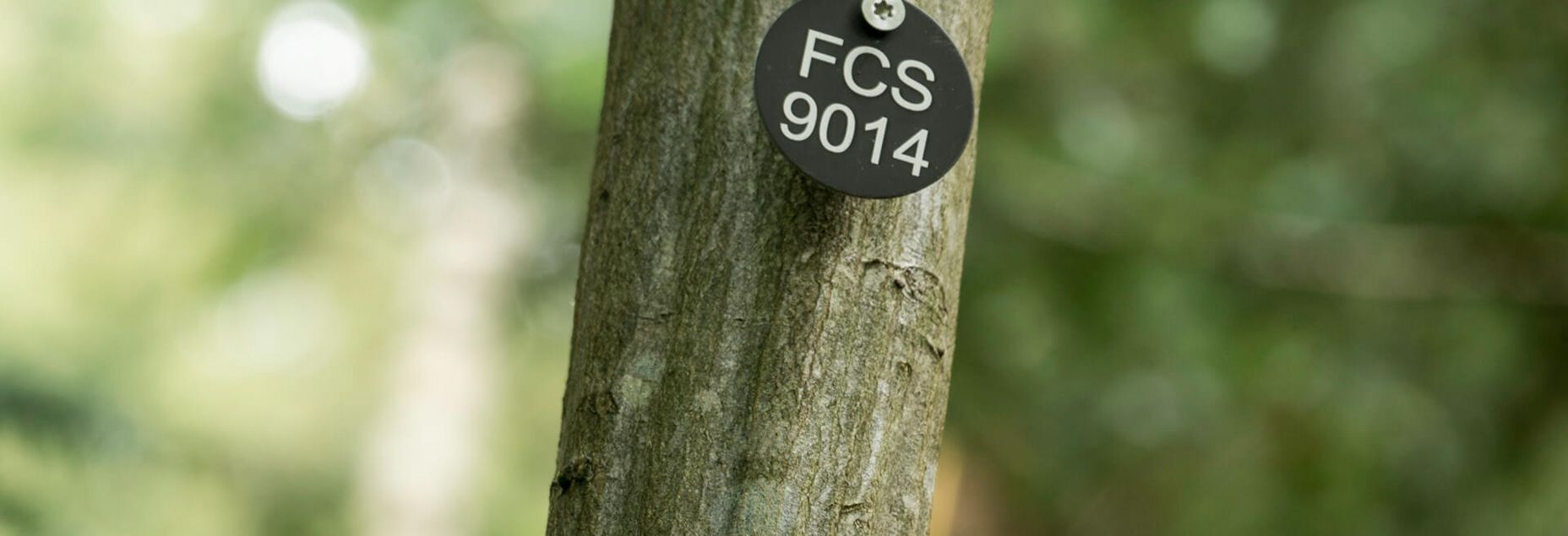 FCS 9014 - Plakette