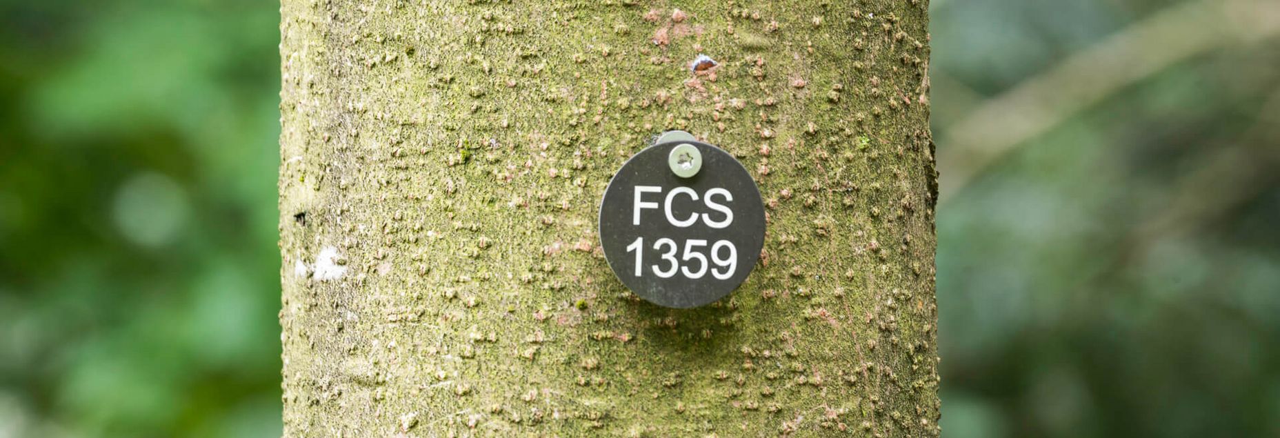 FCS 1359 - Plakette