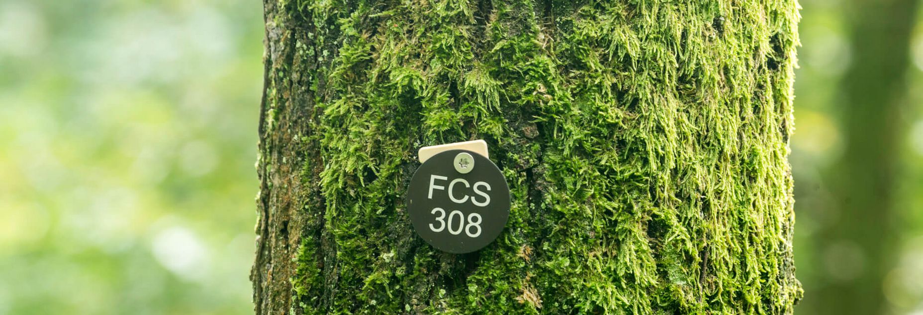 FCS 308 - Plakette