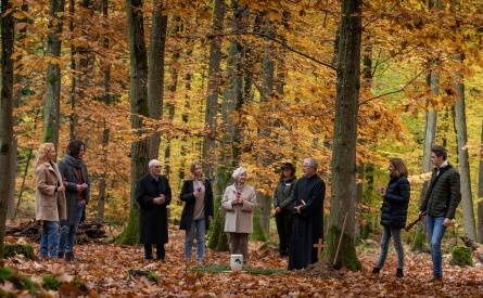 FriedWald-Beisetzung im Herbst